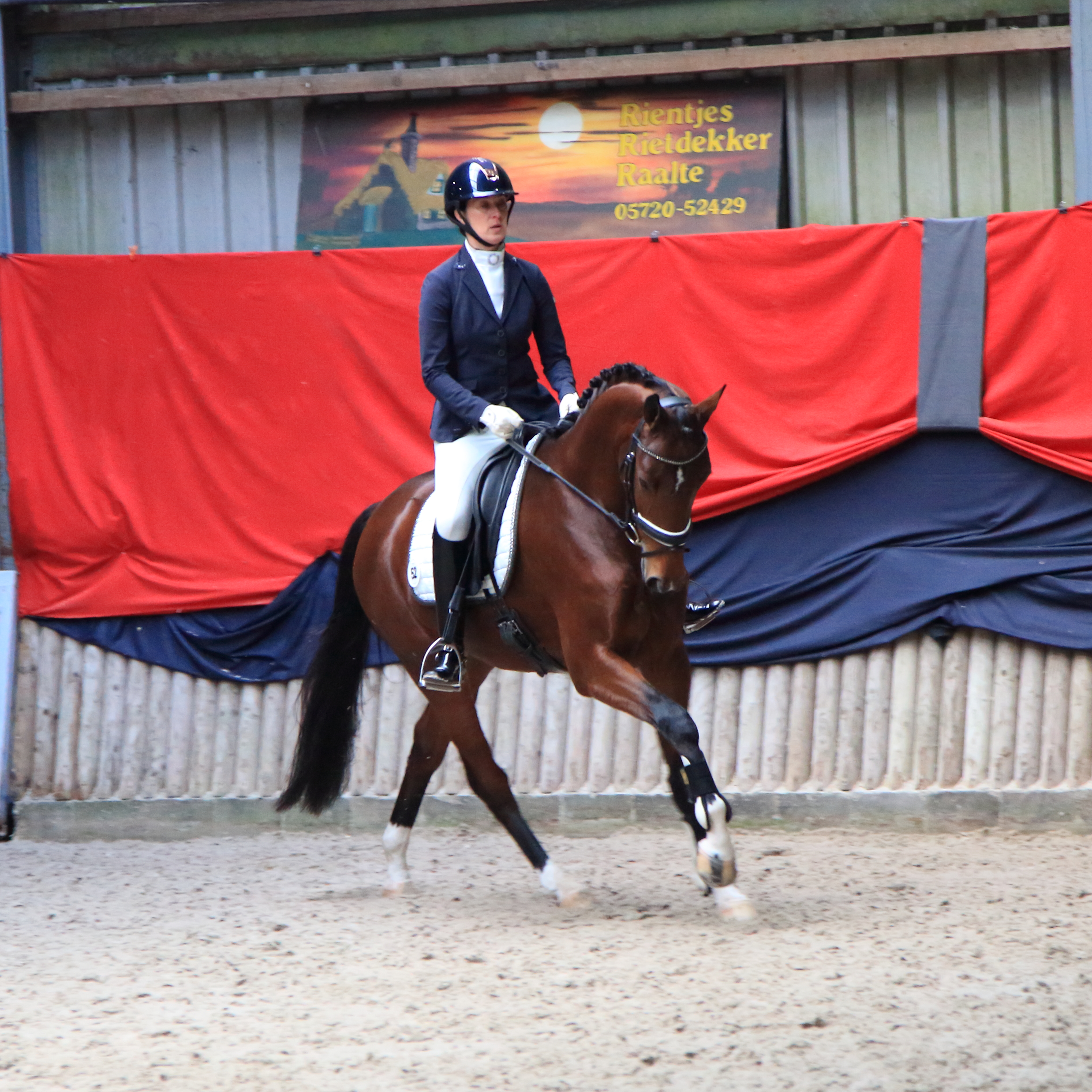 galop rientjes rietdekker